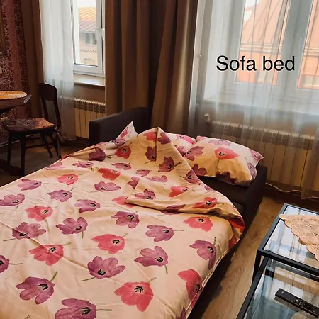 公寓 Fresh&cozy Apartment, Parking Free, 15 Min Walk To Center *